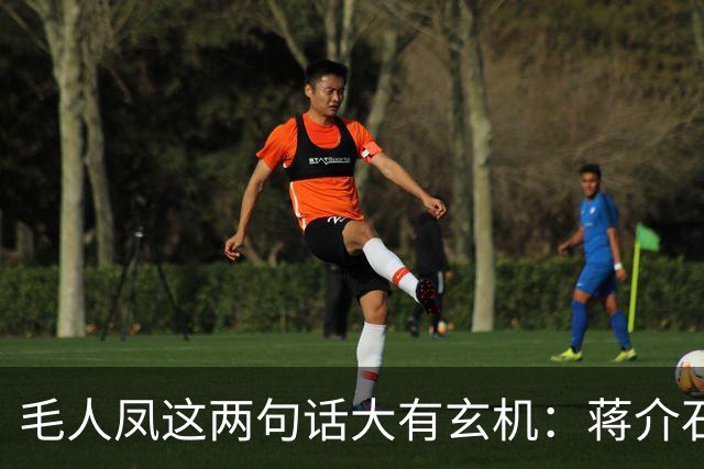 毛人凤这两句话大有玄机：蒋介石宋美龄“预定”了戴笠坠机身亡？